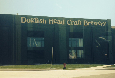 dogfishbuilding